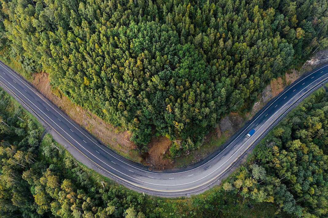 Forêt et route