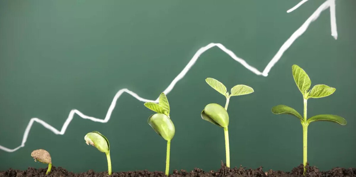 CSR strategy in logistics