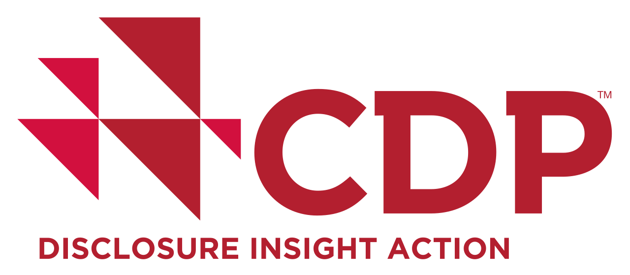 CDP Disclosure Insight Action
