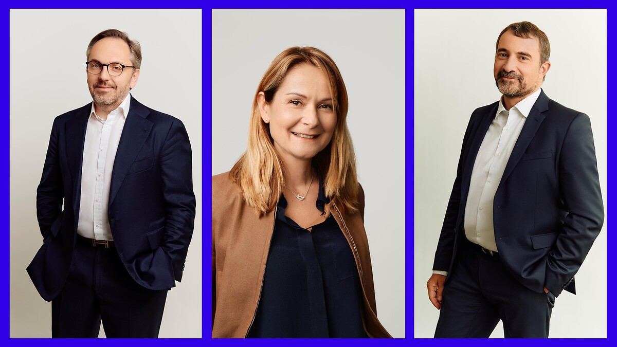 David-Olivier tarac; Stéphanie Hervé; Amaury Valicon