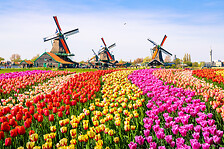 The Netherlands