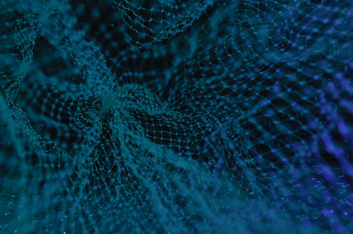 Blockchain guarantees secure data exchange, which is a key concern in the healthcare sector.