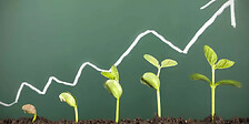 innovation-pays-more_0