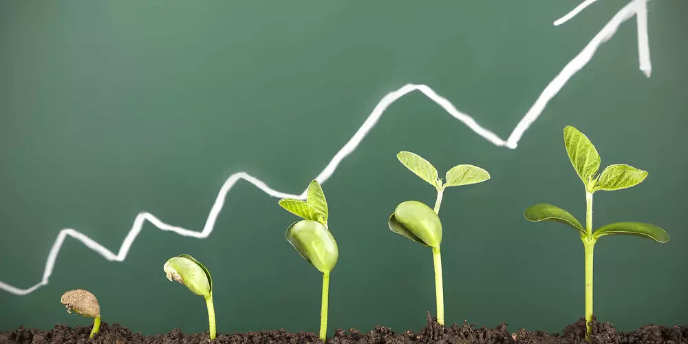 innovation-pays-more_0