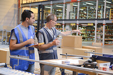 pallet-and-parcel-options