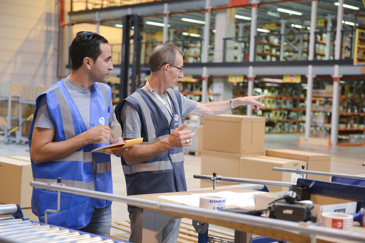 pallet-and-parcel-options