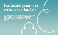 FR_Rapport_RSE_2014_229x138