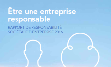FR_Rapport_RSE_2016_229x138