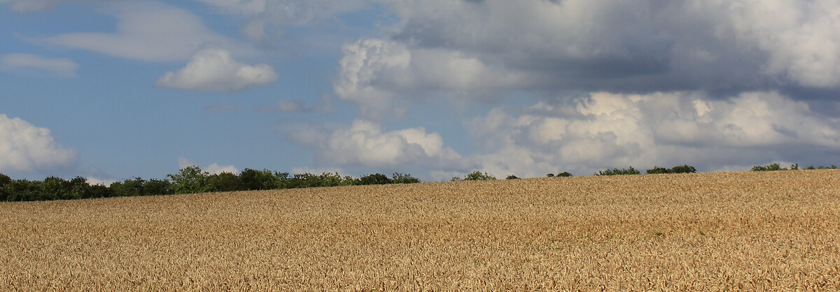 France_Express_Agence_HeaderBanner_01_BourgEnBresse