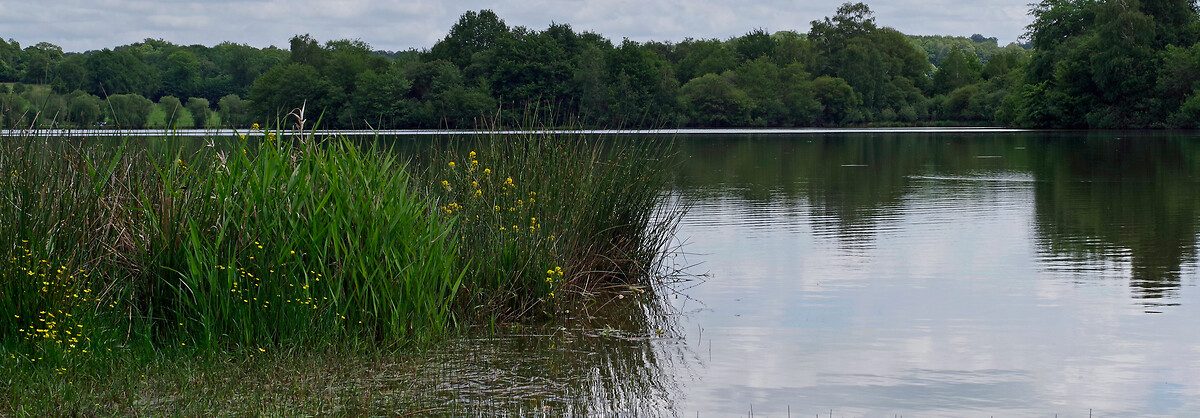 France_Express_Agence_HeaderBanner_23_Gueret