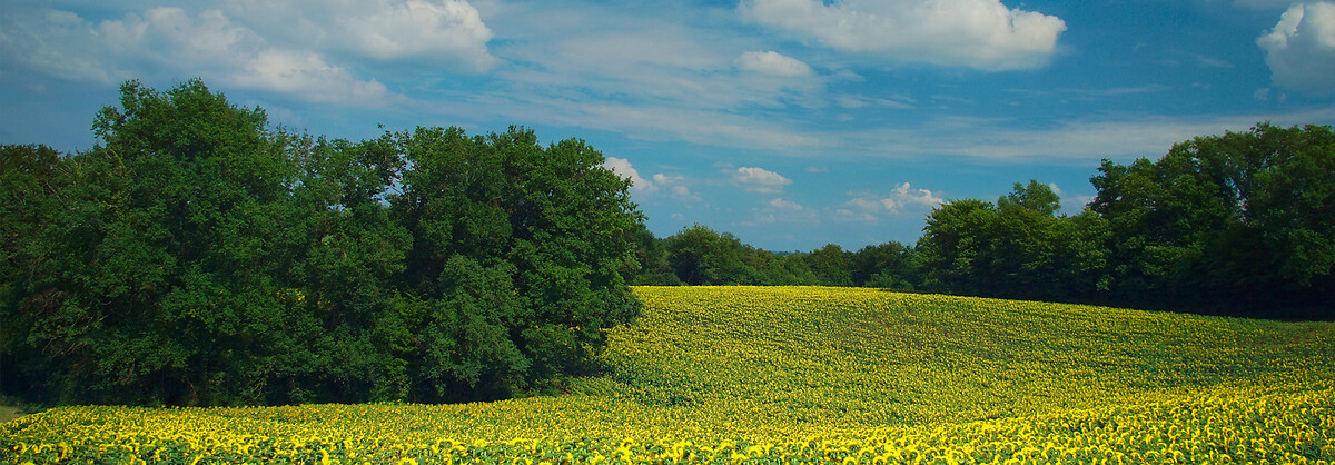 France_Express_Agence_HeaderBanner_32_Gimont
