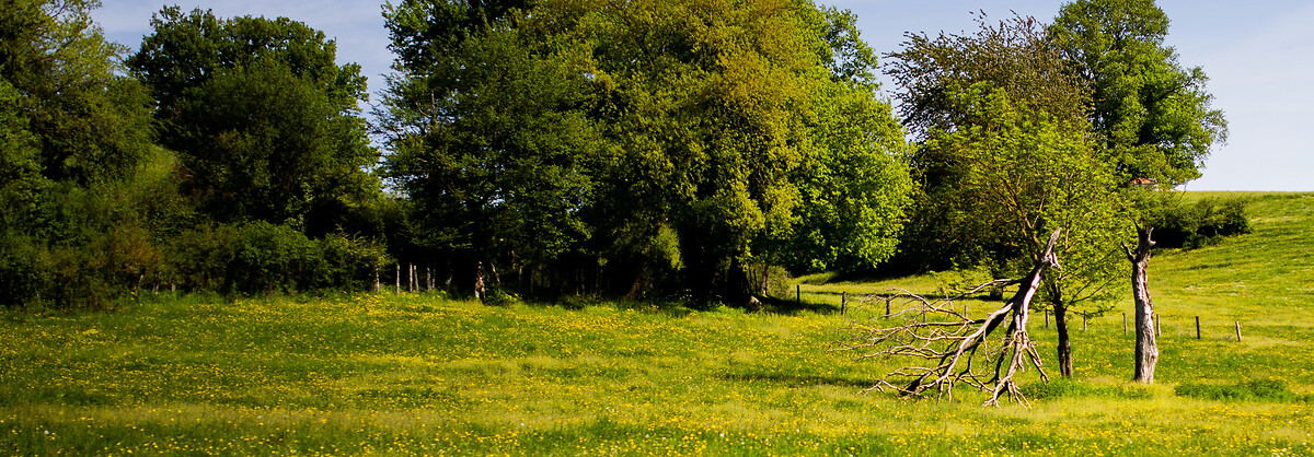 France_Express_Agence_HeaderBanner_42_Roanne