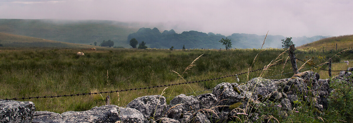 France_Express_Agence_HeaderBanner_48_Marvejols