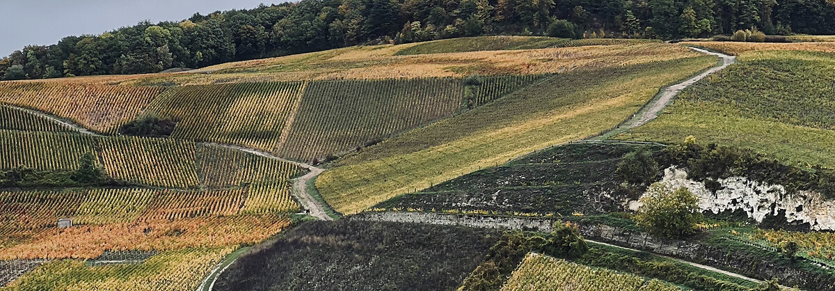 France_Express_Agence_HeaderBanner_51_ChalonsEnChampagne
