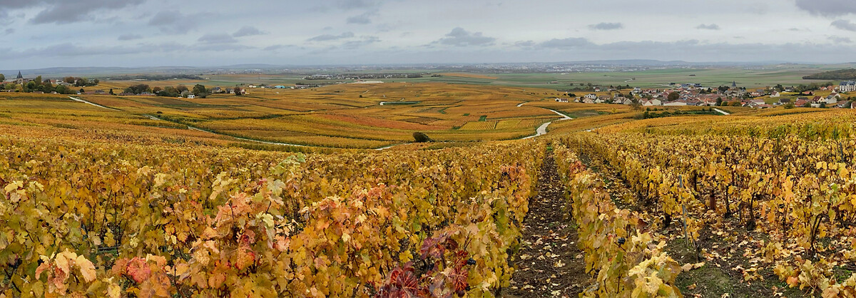 France_Express_Agence_HeaderBanner_51_Reims