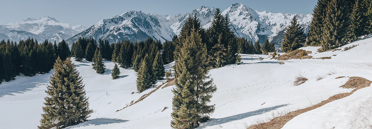 France_Express_Agence_HeaderBanner_73_Albertville