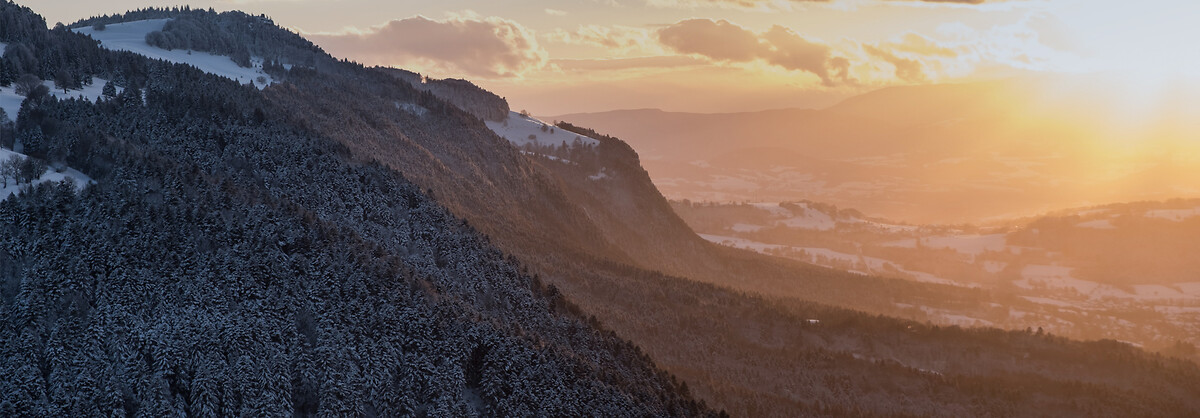 France_Express_Agence_HeaderBanner_74_Annemasse