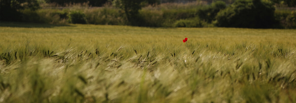 France_Express_Agence_HeaderBanner_95_ValDOise