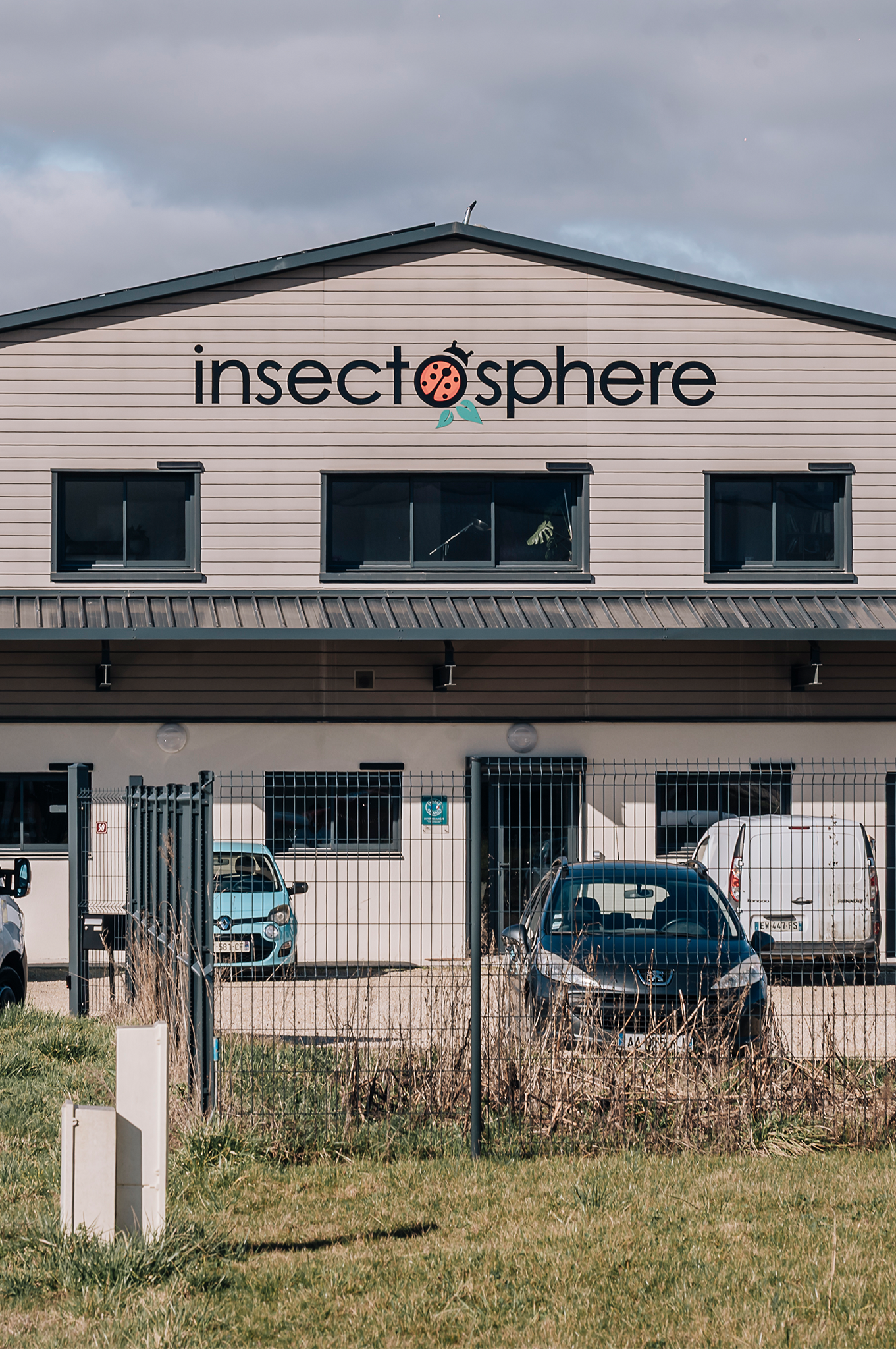 insecte_sidepic3.png