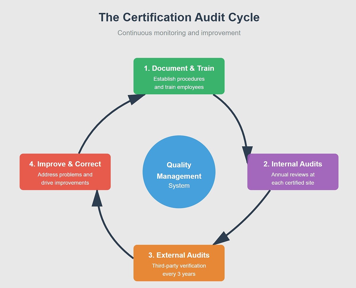 ISO_certification_audit_cycle.jpg